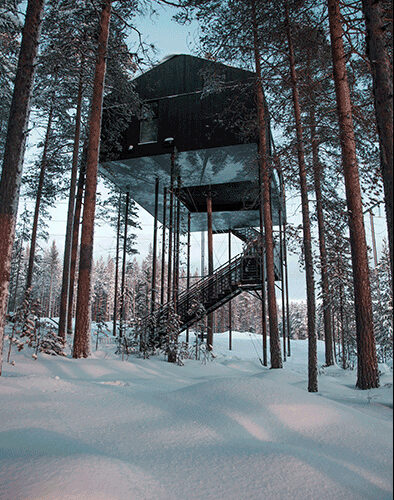Treehotel | Harads, Sweden