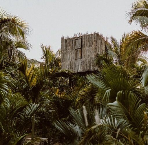 ACRE | San José del Cabo, Mexico