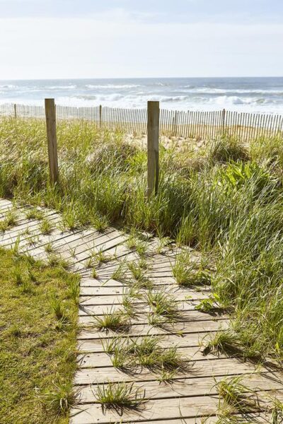 Marram Mountauk