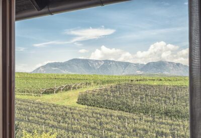 Das Wanda | Kaltern, South Tyrol