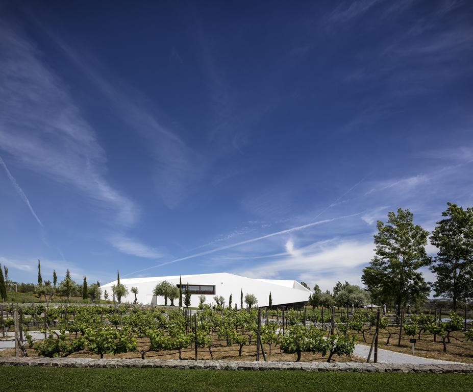 L'and Vineyards