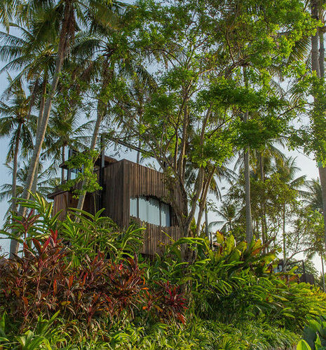 Nirjhara | Tabanan, Bali