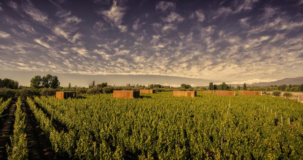 Entre Cielos | Vistalba, Argentina