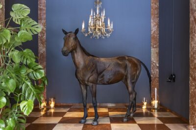 Grand Ferdinand | Vienna