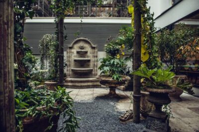 Grand Ferdinand | Vienna