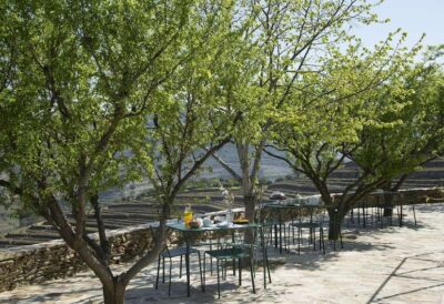 Quinta da Côrte | Douro Valley