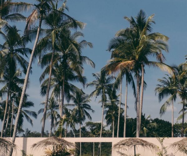 PALM Hotel | Ahangama, Sri Lanka