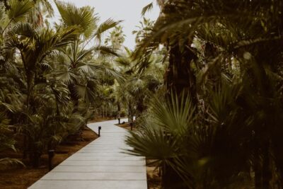 ACRE | San José del Cabo, Mexico