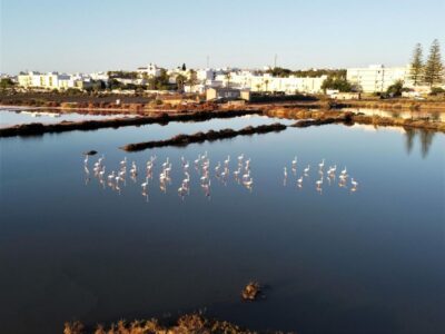 Moinhos das Marés | Fuseta, Algarve