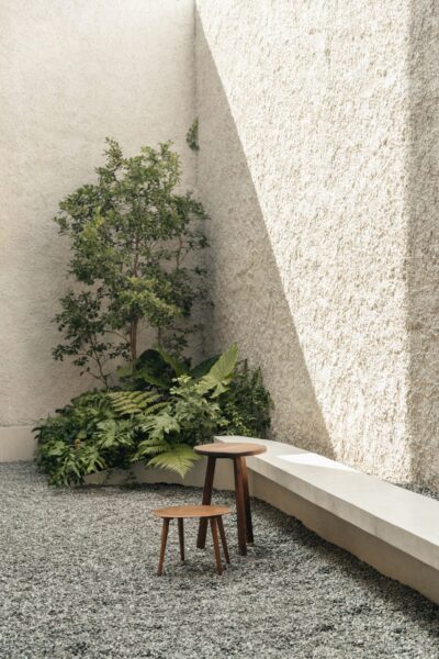 Octavia Casa | Mexico City