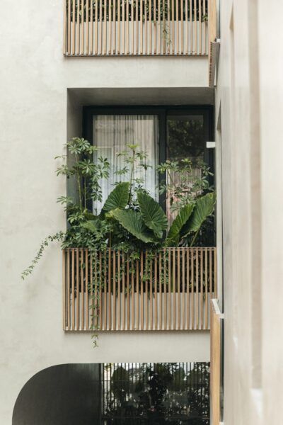 Octavia Casa | Mexico City