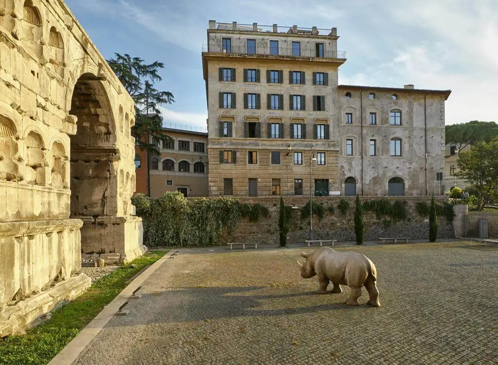 Rhinoceros | Rome