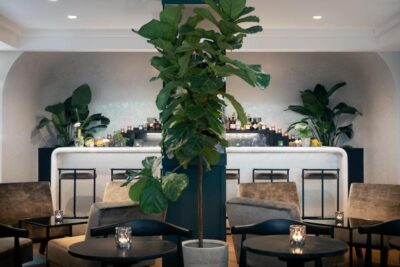 The Annex Hotel | Toronto