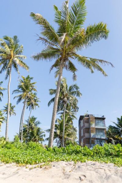 Harding Boutique Hotel | Ahangama, Sri Lanka