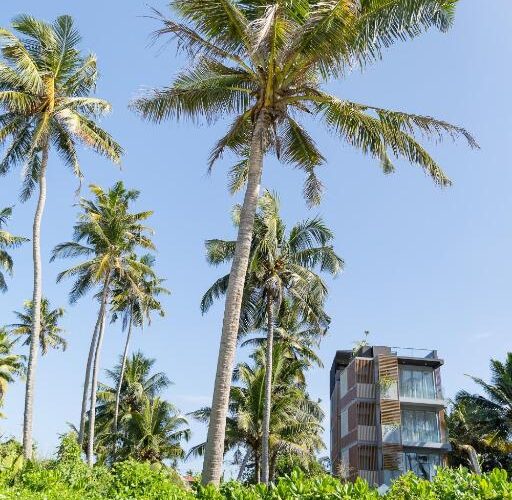 Harding Boutique Hotel | Ahangama, Sri Lanka