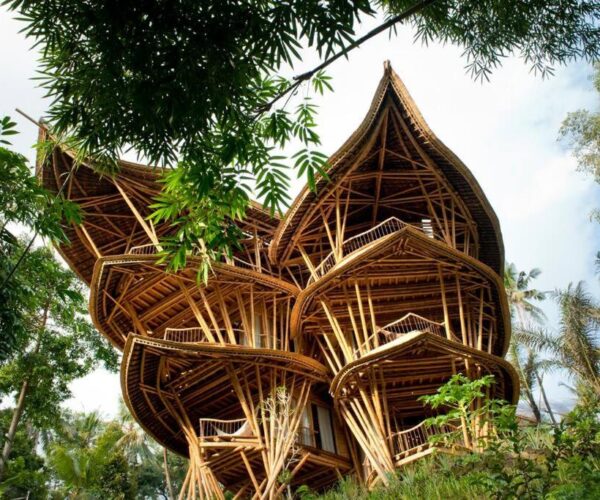 Sharma Springs | Bali