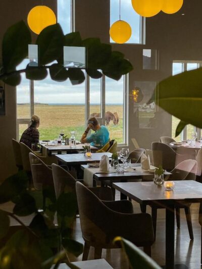 Umi Hotel | Skogar, Iceland