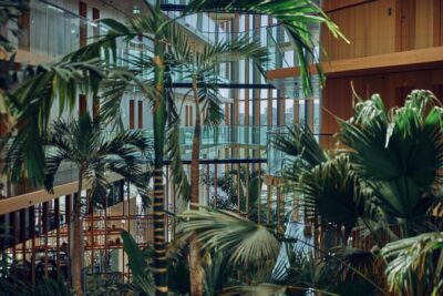 Hotel Jakarta | Amsterdam