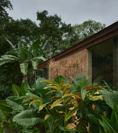 ACHIOTÉ | Costa Rica