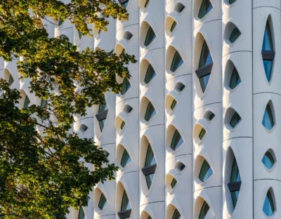 Populus | Denver