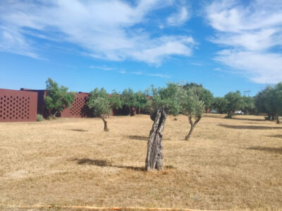 The Lince Ecorkhotel | Évora