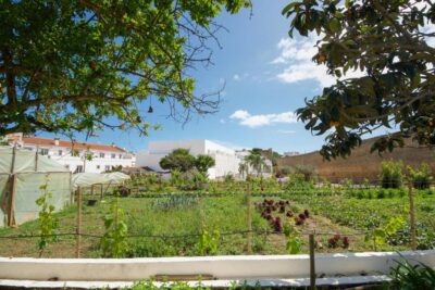 Casa Mãe | Lagos, Portugal