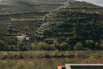 Torel Quinta da Vacaria | Douro Valley