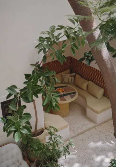 Rosemary | Marrakech