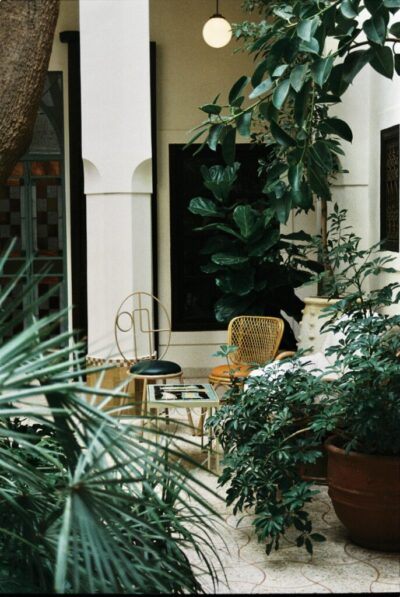 Rosemary | Marrakech