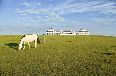 Estancia Vik | José Ignacio, Uruguay
