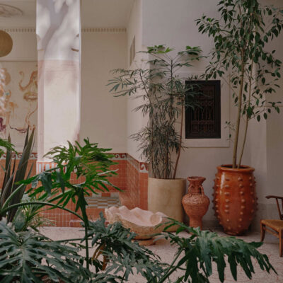 Rosemary | Marrakech