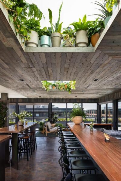 Populus | Seattle