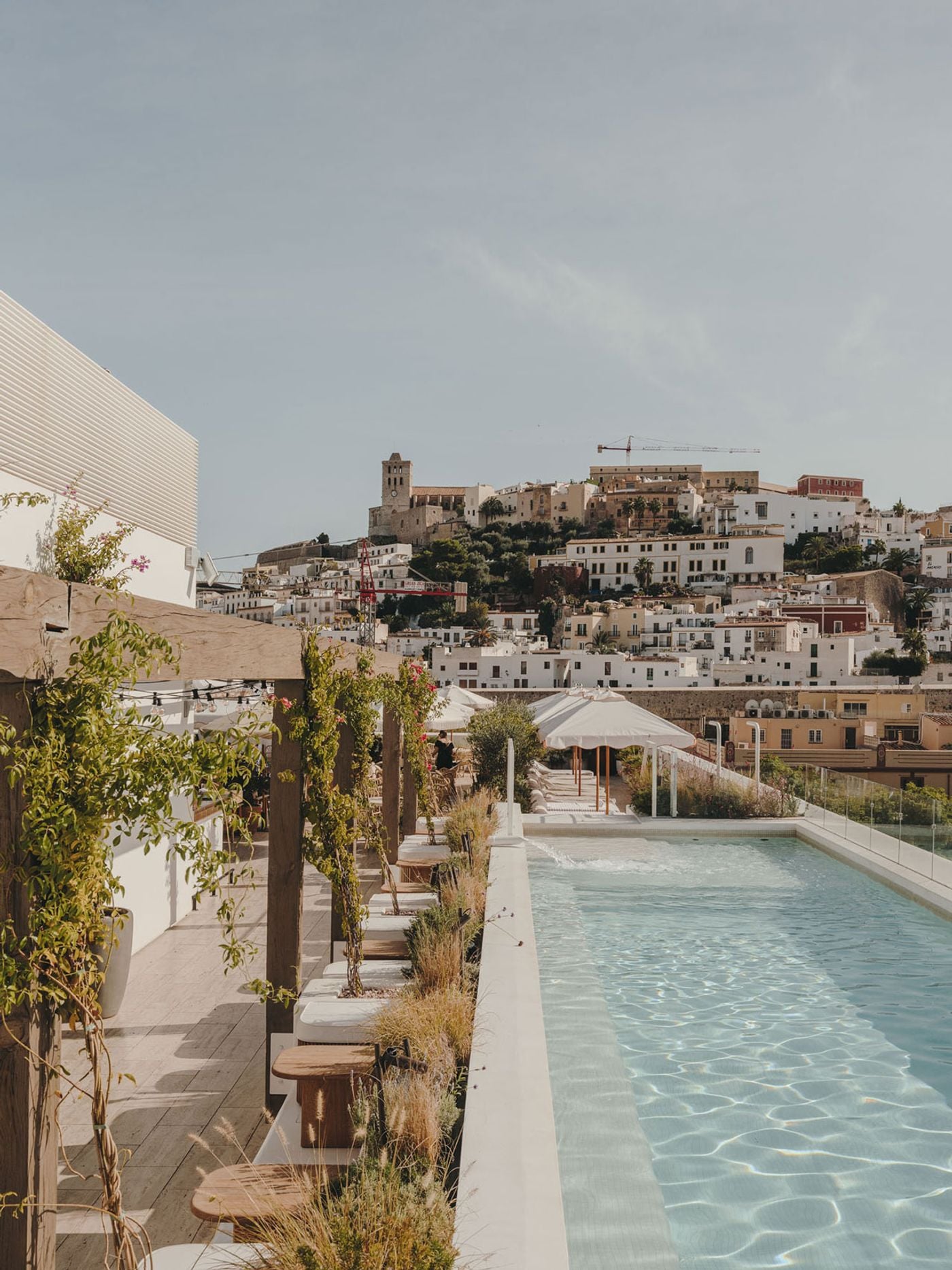 The Standard Ibiza