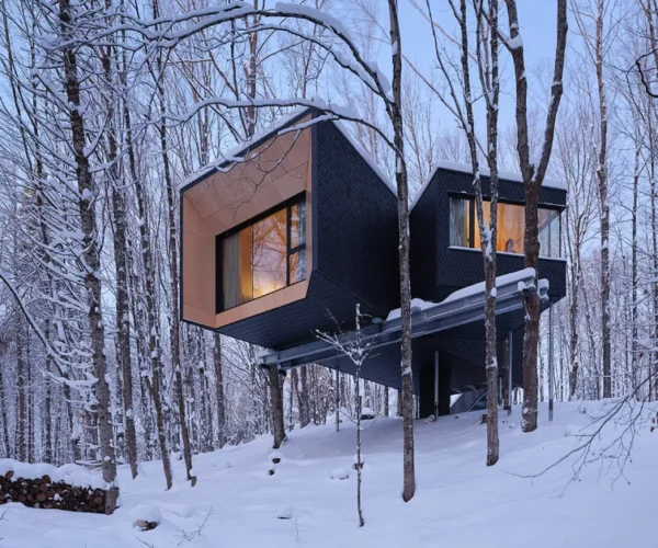 Hårtwood | Minden, Ontario | Canada