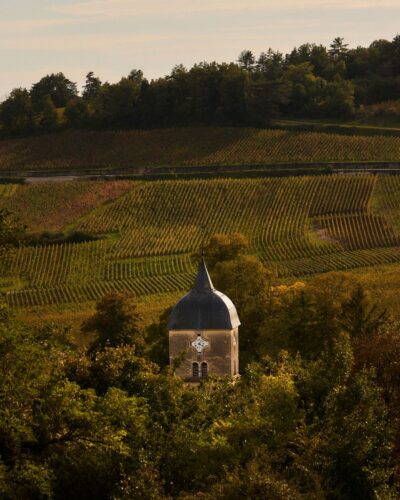Bellevigne Bourgogne