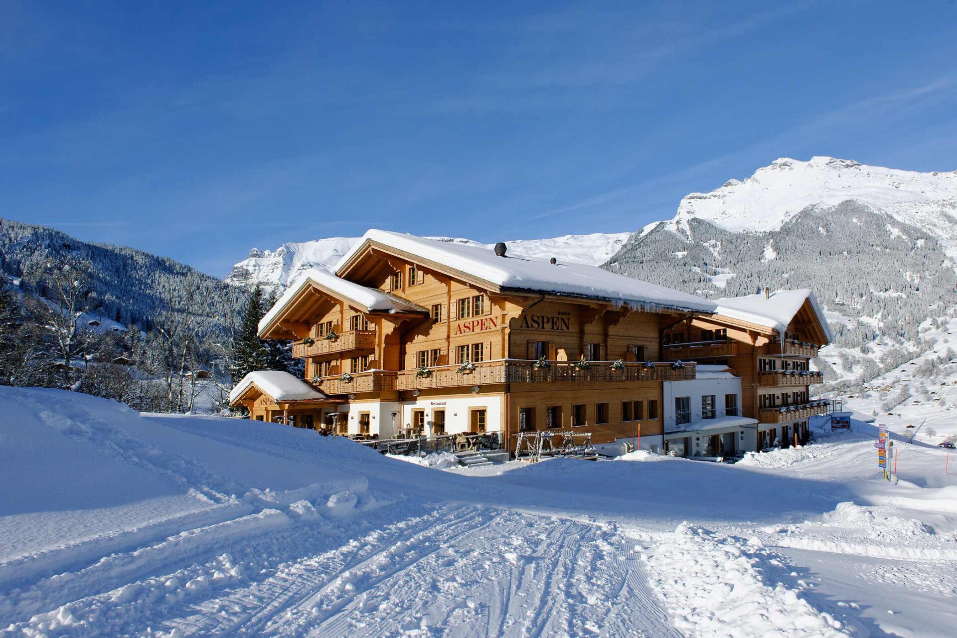 Aspen | Grindelwald, Switzerland