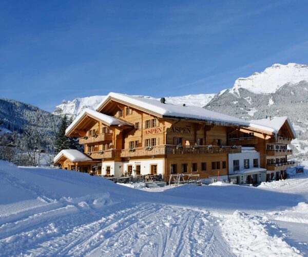 Aspen | Grindelwald, Switzerland