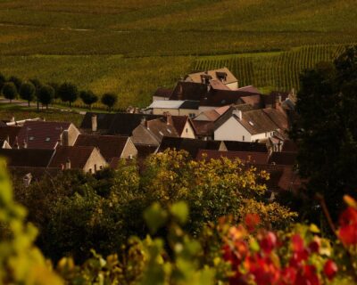 Bellevigne Bourgogne