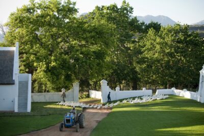 Babylonstoren | Simondium, South Africa