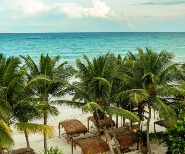 XELA Tulum | Mexico